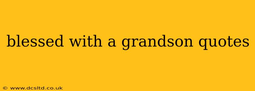 blessed with a grandson quotes