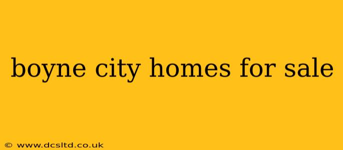 boyne city homes for sale