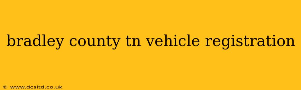 bradley county tn vehicle registration
