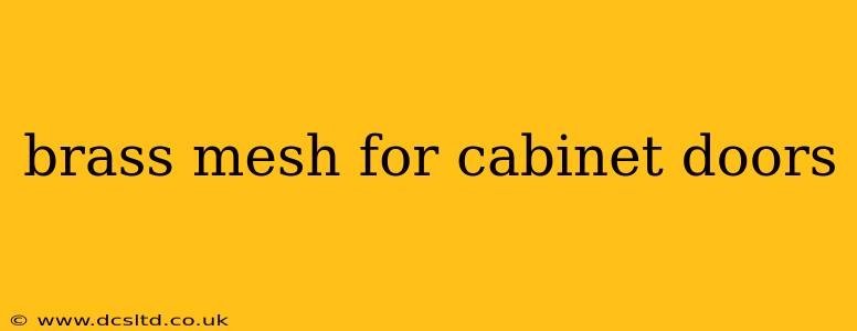 brass mesh for cabinet doors