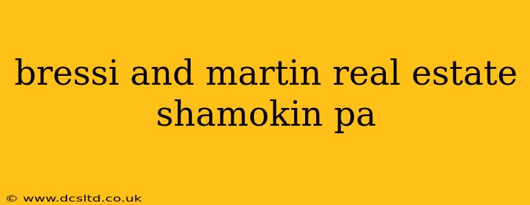bressi and martin real estate shamokin pa