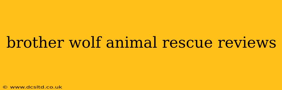 brother wolf animal rescue reviews