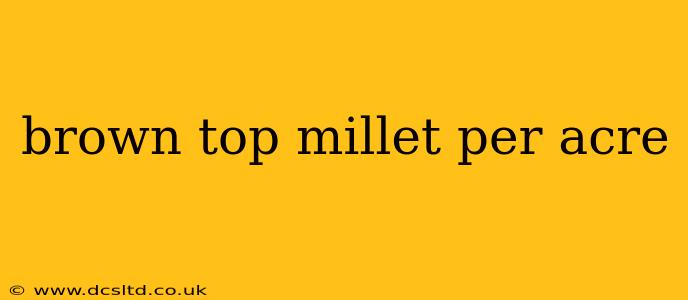 brown top millet per acre