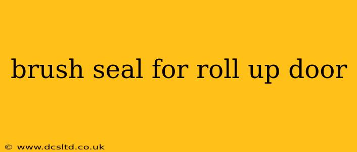 brush seal for roll up door