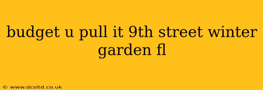 budget u pull it 9th street winter garden fl