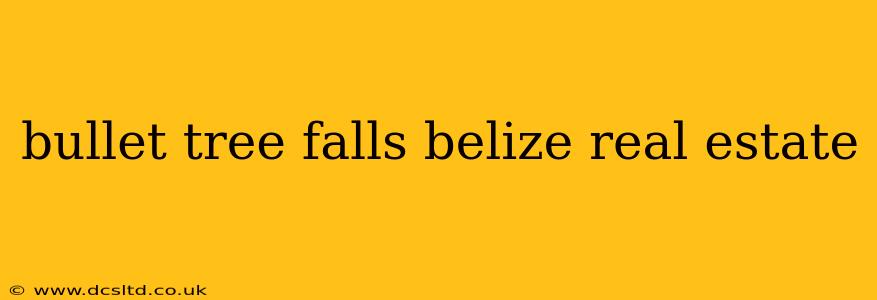 bullet tree falls belize real estate