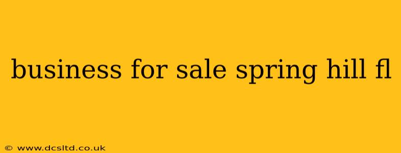business for sale spring hill fl
