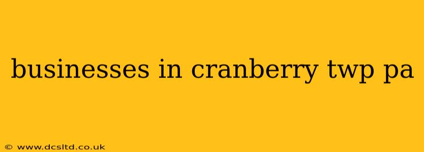 businesses in cranberry twp pa