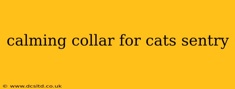 calming collar for cats sentry
