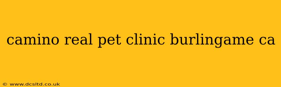 camino real pet clinic burlingame ca