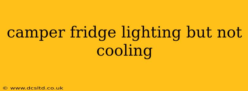 camper fridge lighting but not cooling