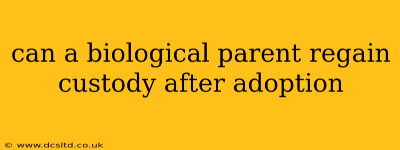 can a biological parent regain custody after adoption