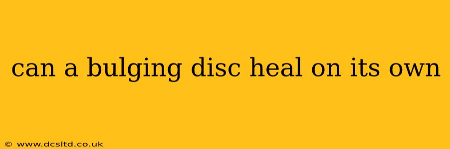 can a bulging disc heal on its own