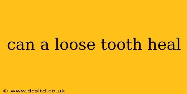 can a loose tooth heal