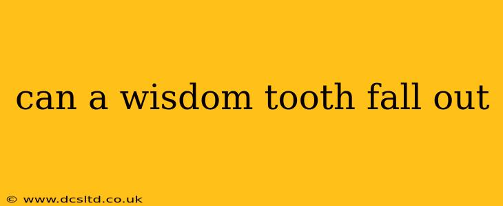 can a wisdom tooth fall out