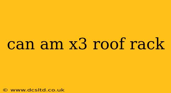 can am x3 roof rack