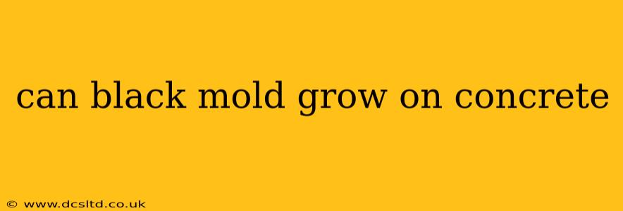 can black mold grow on concrete