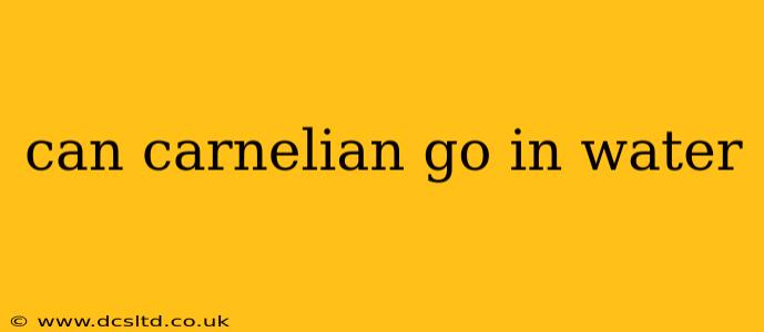 can carnelian go in water