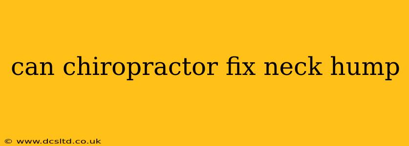 can chiropractor fix neck hump