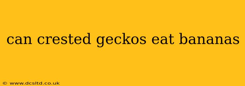 can crested geckos eat bananas