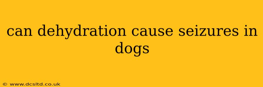 can dehydration cause seizures in dogs