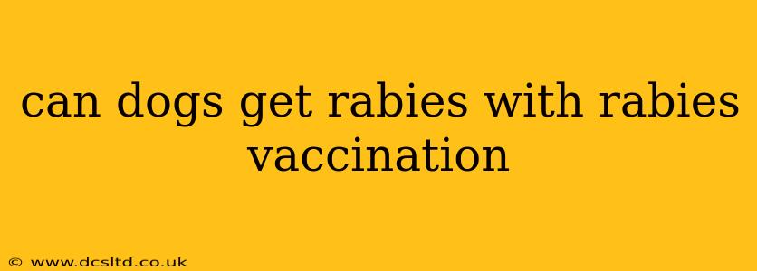 can dogs get rabies with rabies vaccination