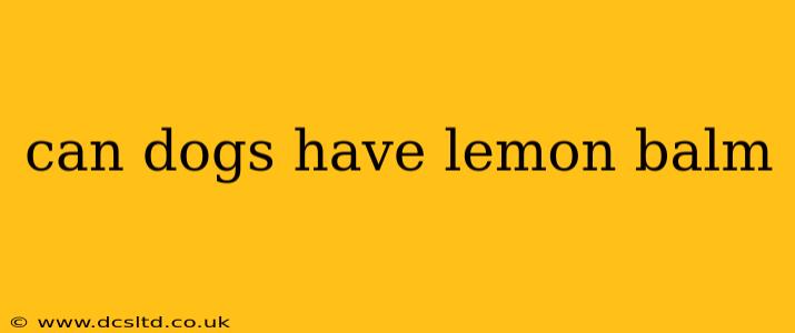 can dogs have lemon balm
