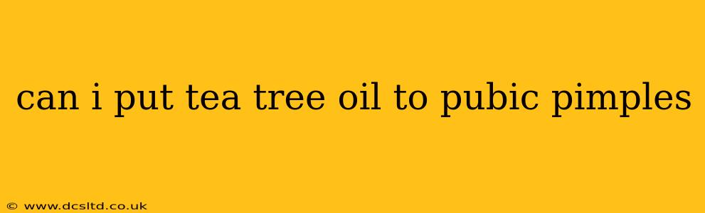 can i put tea tree oil to pubic pimples