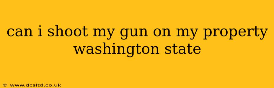can i shoot my gun on my property washington state