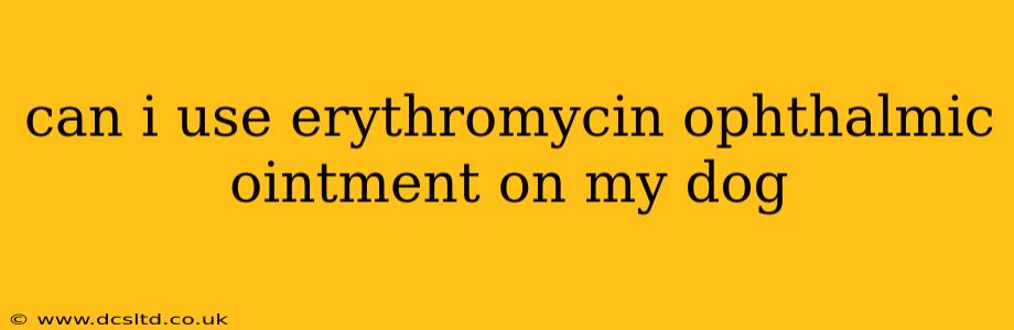 can i use erythromycin ophthalmic ointment on my dog