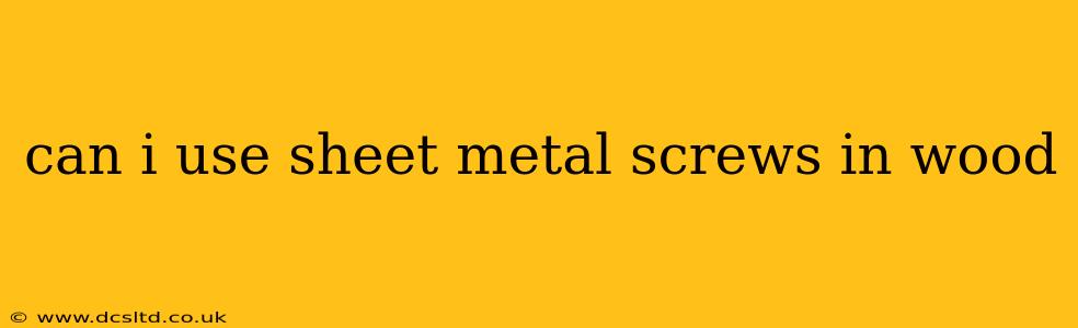 can i use sheet metal screws in wood