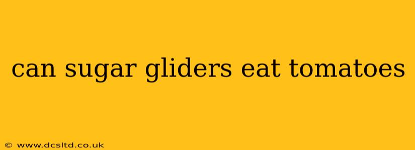 can sugar gliders eat tomatoes