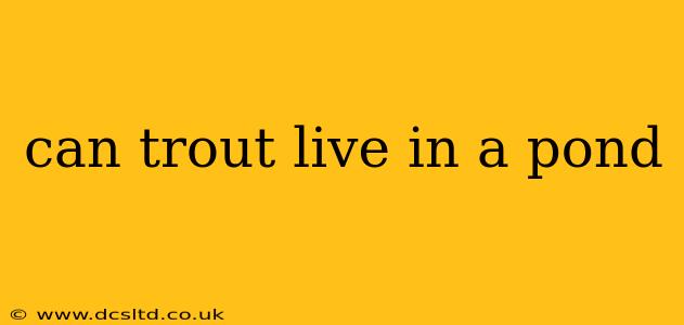 can trout live in a pond