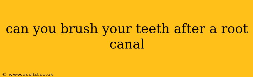 can you brush your teeth after a root canal