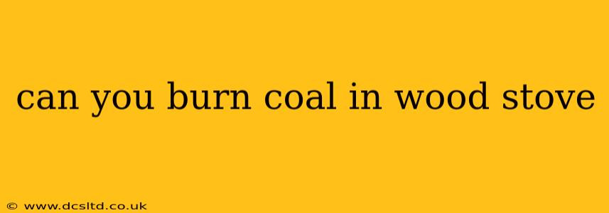 can you burn coal in wood stove