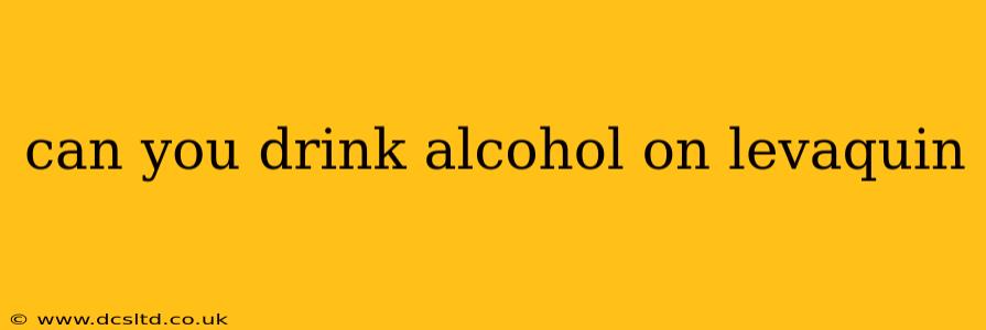 can you drink alcohol on levaquin