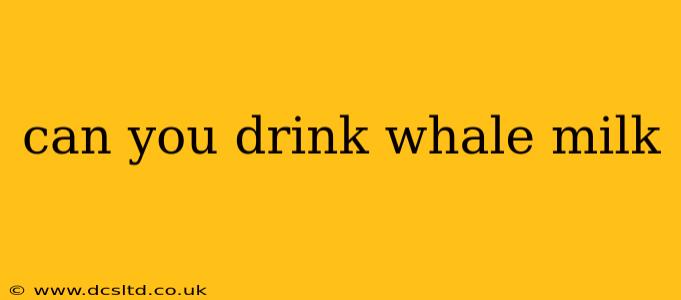 can you drink whale milk