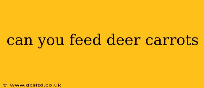 can you feed deer carrots