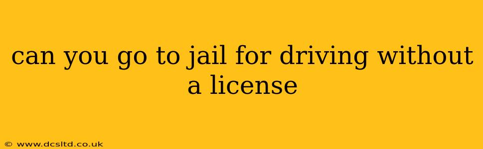 can you go to jail for driving without a license