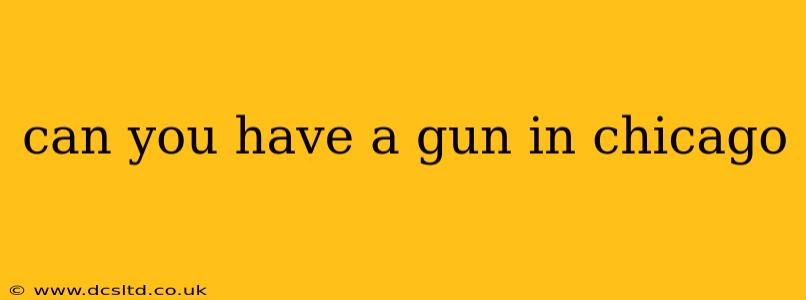 can you have a gun in chicago