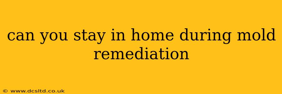 can you stay in home during mold remediation