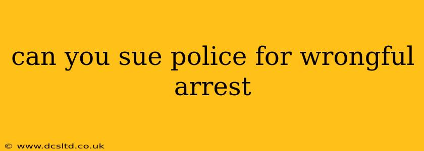 can you sue police for wrongful arrest