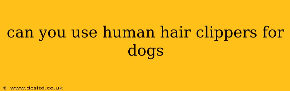 can you use human hair clippers for dogs