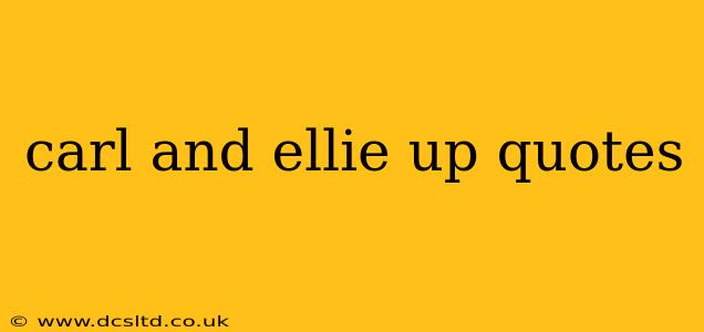 carl and ellie up quotes