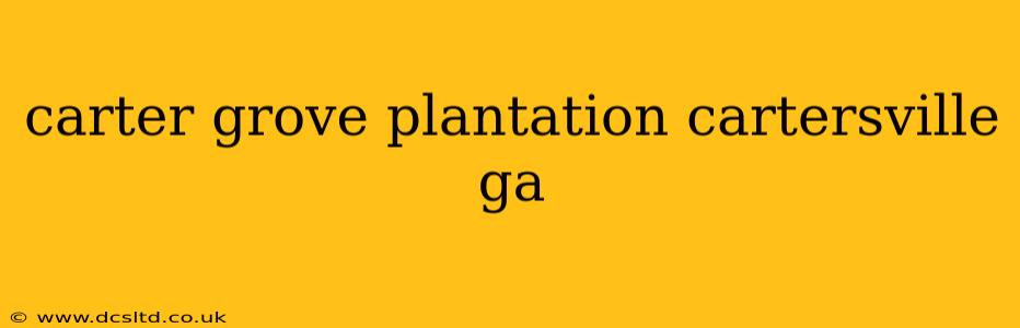 carter grove plantation cartersville ga
