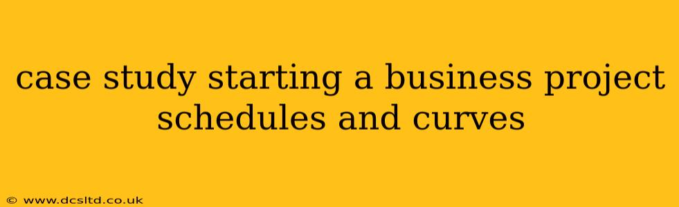 case study starting a business project schedules and curves