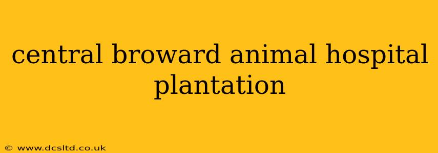 central broward animal hospital plantation
