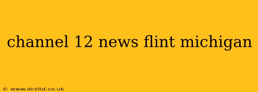 channel 12 news flint michigan