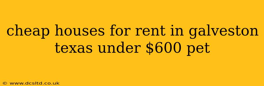 cheap houses for rent in galveston texas under $600 pet