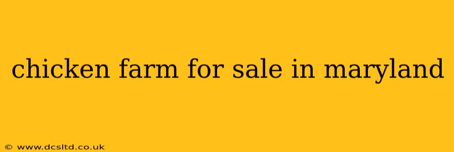chicken farm for sale in maryland